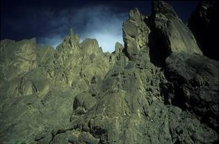 vert_0007343