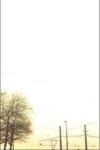 000-_K6A7540-Brussel
